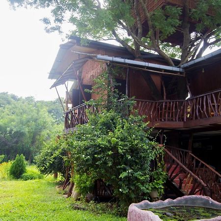 Anushka Nera Nature House Szigirija Szoba fotó