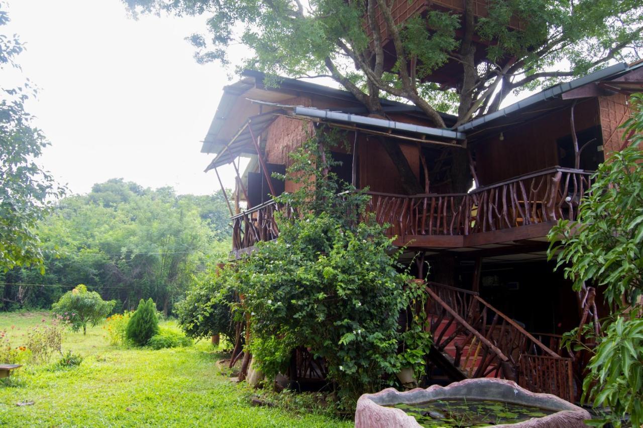 Anushka Nera Nature House Szigirija Szoba fotó