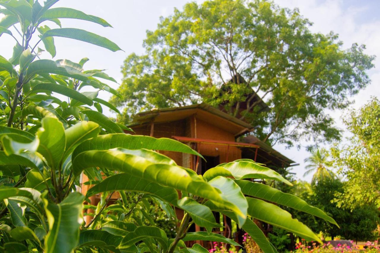 Anushka Nera Nature House Szigirija Szoba fotó