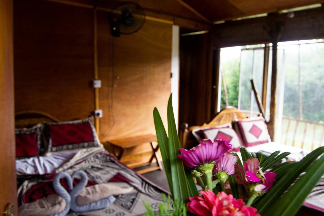 Anushka Nera Nature House Szigirija Szoba fotó